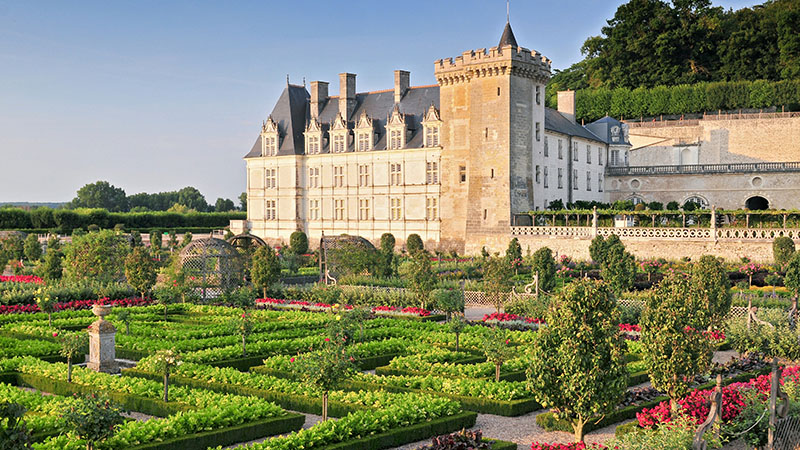 Loiredalens slott & ving�rdar